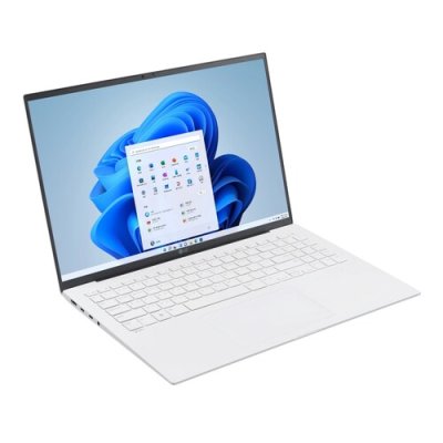 LG 그램15 15Z95N 11세대 i5 램16G NVME512G Win10