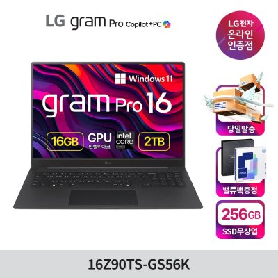 LG전자 2025 그램프로 16인치 16Z90TS-GS56K 윈도우 고해상도 AI 코파일럿+ 루나레이크 WQXGA 직장인 대학생 초경량 초슬림 노트북 추천, 16Z90TS-GS56K, WIN11 Home, 16GB, 2TB, 메타 그레이