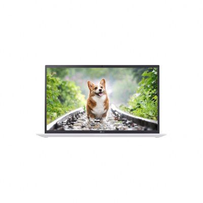 LG전자 그램 FHD 15.6인치 15Z95N i5 11세대 초고속 SSD 장착 윈10 사무용 인강용 노트북, 화이트, LG전자 15Z95N, 1TB, 16GB, WIN10